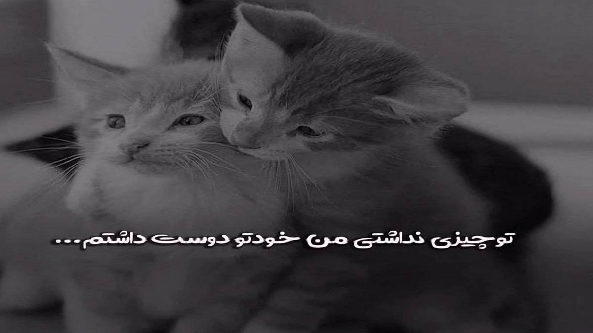 ترکی باخدیم دالینجان گوز یاش آخینجان